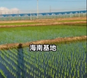 宣传视频